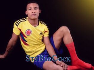StyBigCock