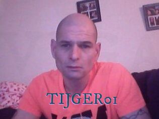 TIJGER01