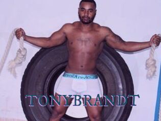 TONYBRANDT
