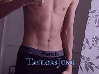 TaylorsJunk