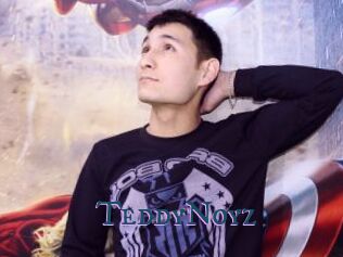 TeddyNoyz