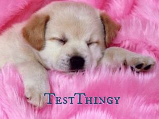 TestThingy