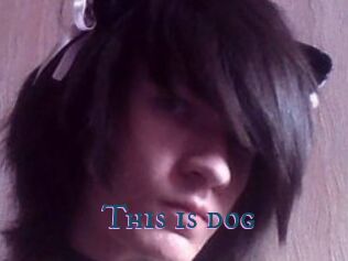 This_is_dog