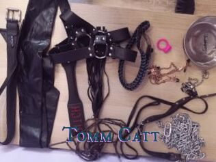 Tomm_Catt
