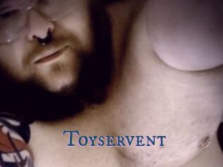 Toyservent