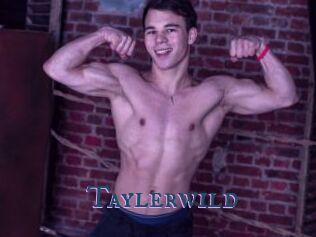 Taylerwild