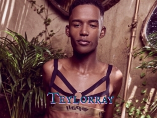 Teylorray