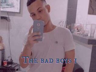 The_bad_boys_1