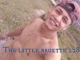 The_little_bruette_228