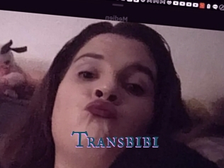 Transbibi