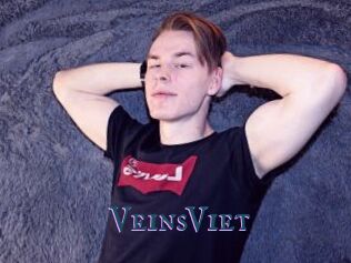VeinsViet
