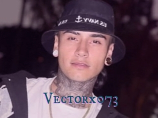 Vectorx073