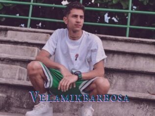 Velamikbarbosa