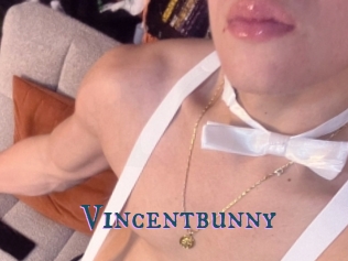 Vincentbunny