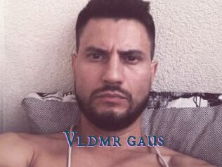 Vldmr_gaus