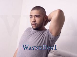 WayneBoyI