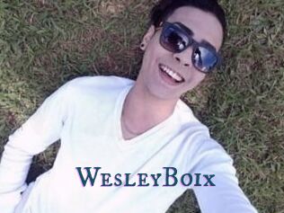 Wesley_Boix