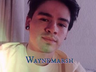 Waynemarsh