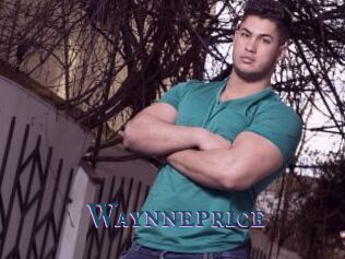 Waynneprice