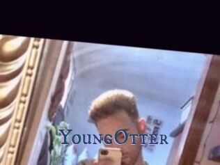 YoungOtter