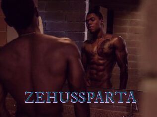 ZEHUS_SPARTA